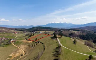🌿 Teren Intravilan 3.791 mp | Priveliște Panoramică Superbă | Poiana Mărului - Poză 12