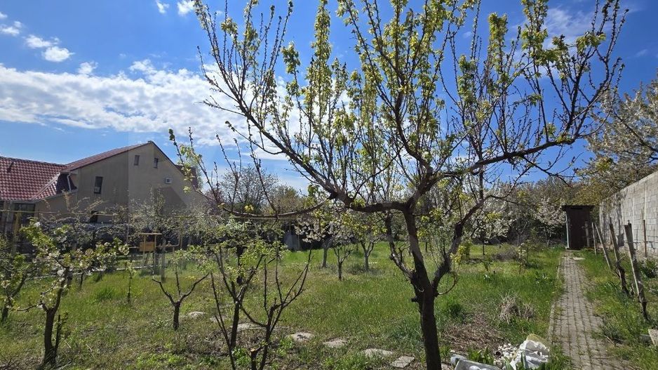 Vânzare, casă, 3 camere, Î. P. „Primăvara, Codru - Poză 8