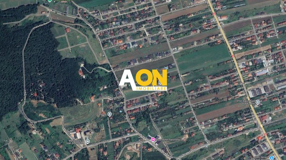 Teren de vanzare, 1148 mp, 14,5 ml Deschidere, Zona Alba Micesti, - Poză 1