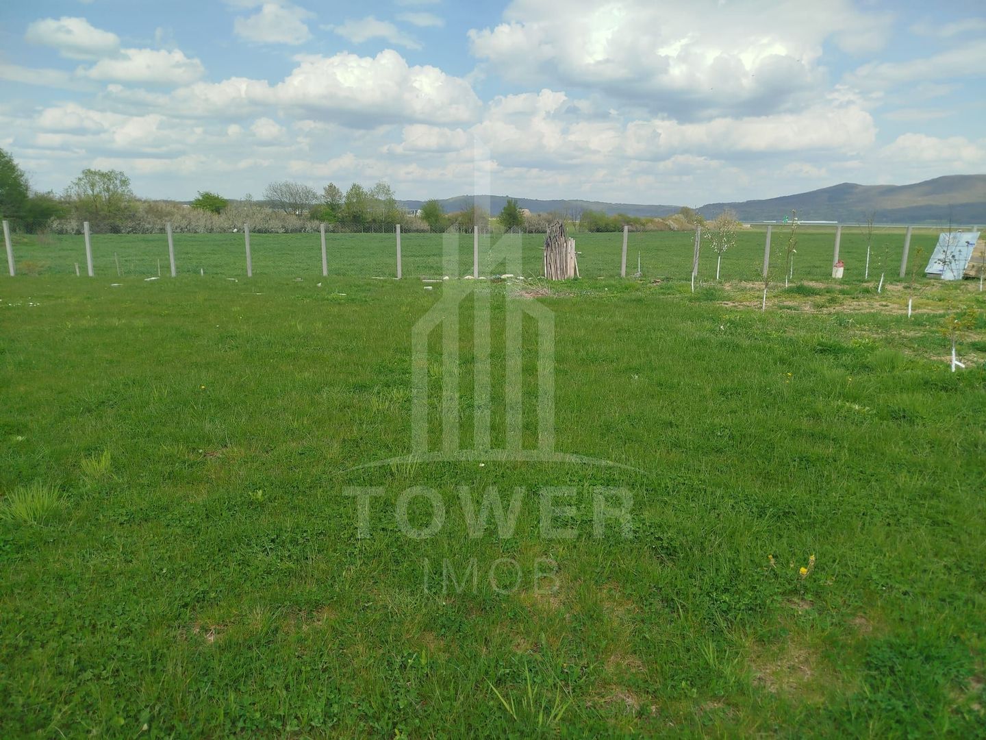 Grădină 862 mp cu cabanuta și pomi fructiferi – între Tălmaciu și Sadu - Poză 12