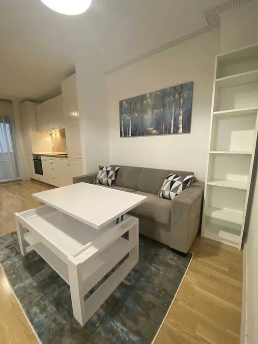Apartament luminos Domenii - Poză 3