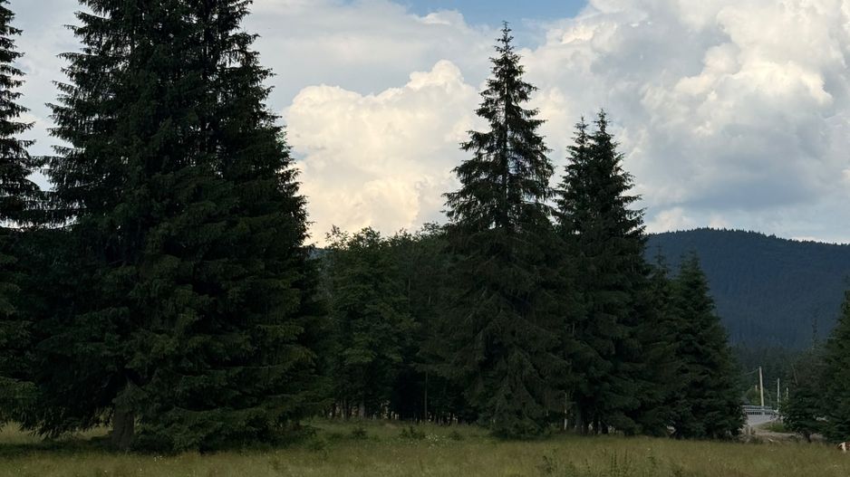 PARCELE DE VÂNZARE, pe malul râului BÂSCA, COMANDAU, COVASNA - Poză 11
