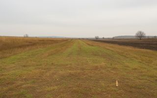 Teren agricol | de vânzare | 5000 mp² | comuna Satu Mare - Poză 10