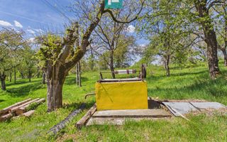 Proprietate rară cu 24.270 mp, în Măgulicea, Arad! - Poză 8