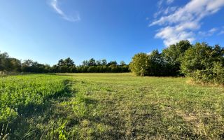 Teren cu utilități în zonă de pădure, Moinești - Poză 1
