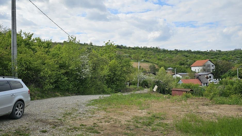 Teren intravilan Podgoria 7000mp - Poză 1