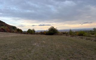 Teren de vânzare 5.000 mp | Poplaca | lângă pădure - Poză 5