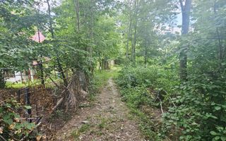 Teren intravilan de vânzare – 2.190 mp – Podu Vadului, Breaza - Poză 5