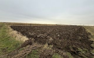 Parcela teren agricol 50 Ari - Poză 4