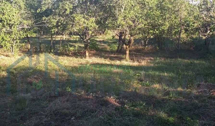 SUPER OFERTĂ: 5000 mp,gaze,canalizare, curent jud Iasi Loc. Ceplenita - Poză 1