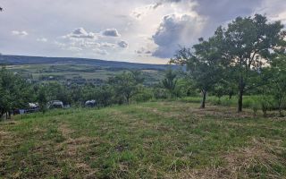 Teren Chicerea – 740 mp, lângă școală - Poză 1