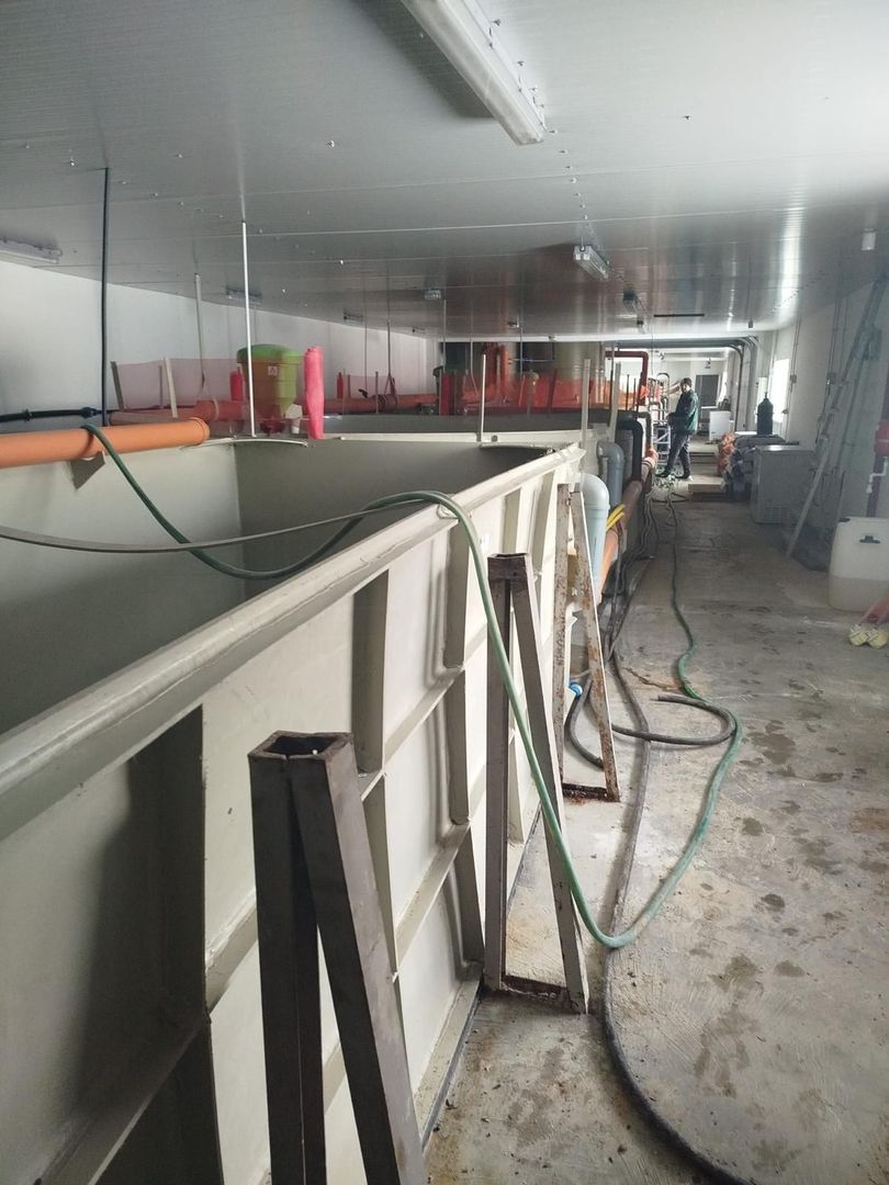 Pensiune + fermă piscicolă (sturion/caviar) | Saru Dornei/Sarisor - Poză 5