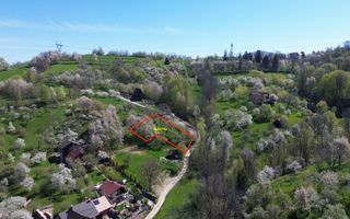 Teren 2500 mp Sohodol - Poză 18