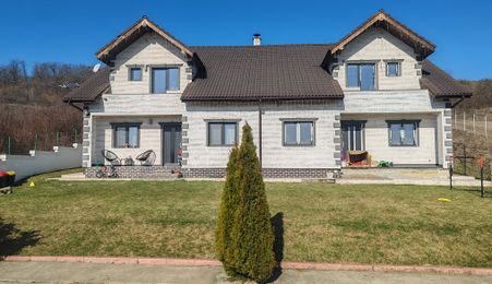 Proprietate Tip Duplex în Viișoara – Vedere Panoramică