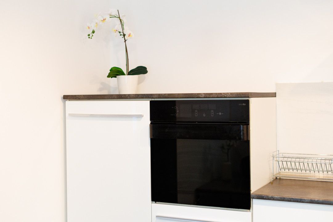 Apartament 2 camere, parter, renovat, curte proprie 50 mp- Piata Iuliu Maniu - Poză 22