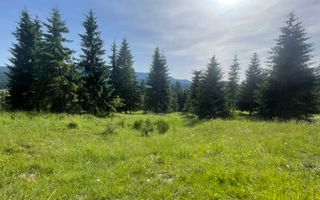 Teren intravilan 1000 mp cu utilitati-ideal cabana, pensiune-Colibita - Poză 1