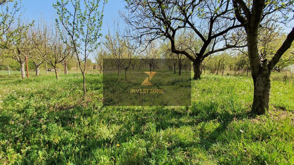 Teren Intravilan pe str Fagetului - Poză 4