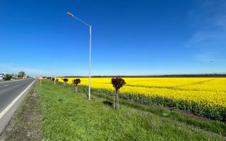 Teren 3H Makita Branesti deschidere 30 mp - Poză 5