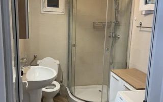 Casa de inchiriat in zona Bucurestii Noi/Limita Chitila - 0 Comision - Poză 5