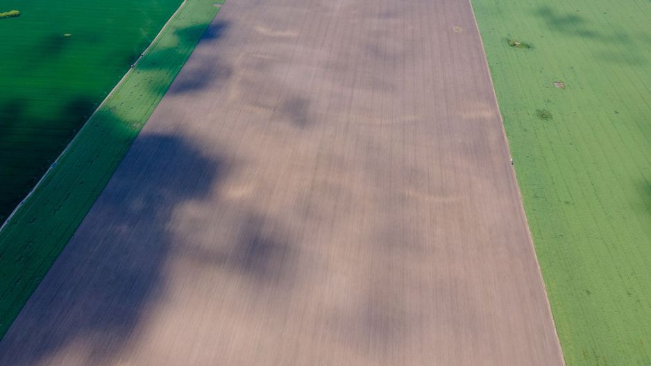 Teren de 5Ha în Satchinez. - Poză 7