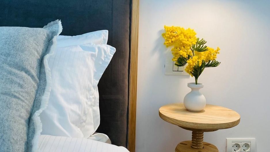 Închiriere apartament 2 camere in bloc boutique Dacia- gradina Icoane - Poză 6