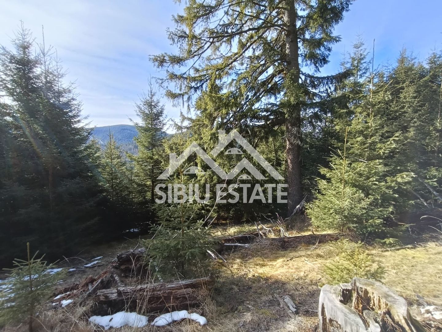 Teren de vânzare în zona montană a județului Alba - Poză 5