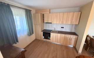 Mosnita Noua-Castel Royal| 2 camere| stil bavarez din lemn si piatra naturala - Poză 8