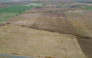 Teren 22.500 mp – Pecica, jud. Arad - Poză 3