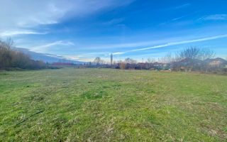 EXCLUSIV | TEREN INTRAVILAN | INVESTIȚIE | BEIUȘ – STR. PLOPILOR | 13.500 MP - Poză 3