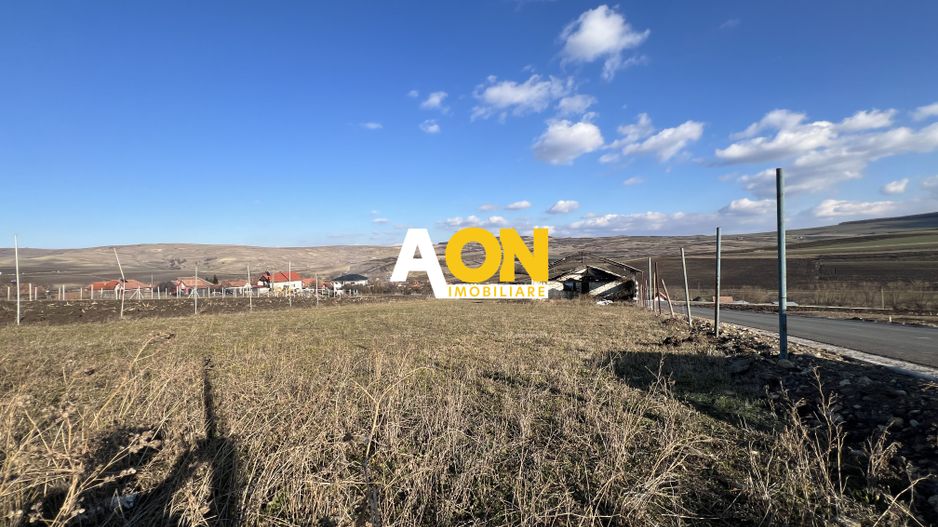 2,314 Mp in Daia Romana, toate utilitatile la asfalt, 80ml deschidere - Poză 8