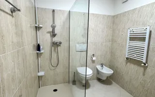 Apartament frumos și luminos cu 3 camere Torontal-Aradului - Poză 15