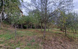 Casa cu livada in Cetea - Poză 22