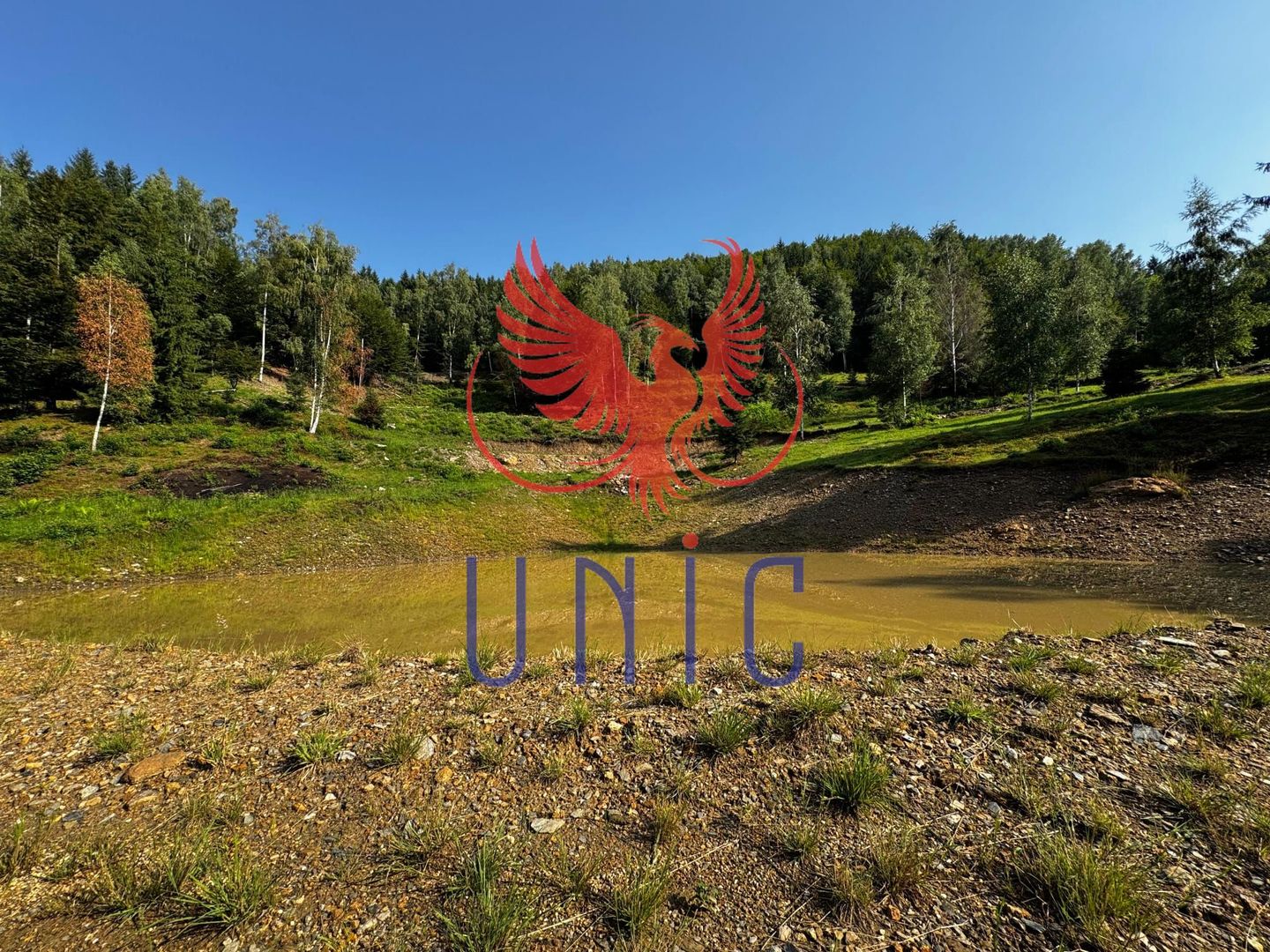 18000 mp de natura pura ,Lupeni, langa Straja - Poză 15