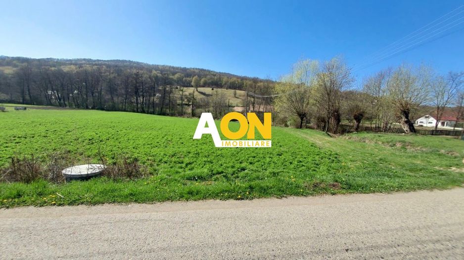 Teren de vanzare, Ampoita, 2300mp - Poză 4