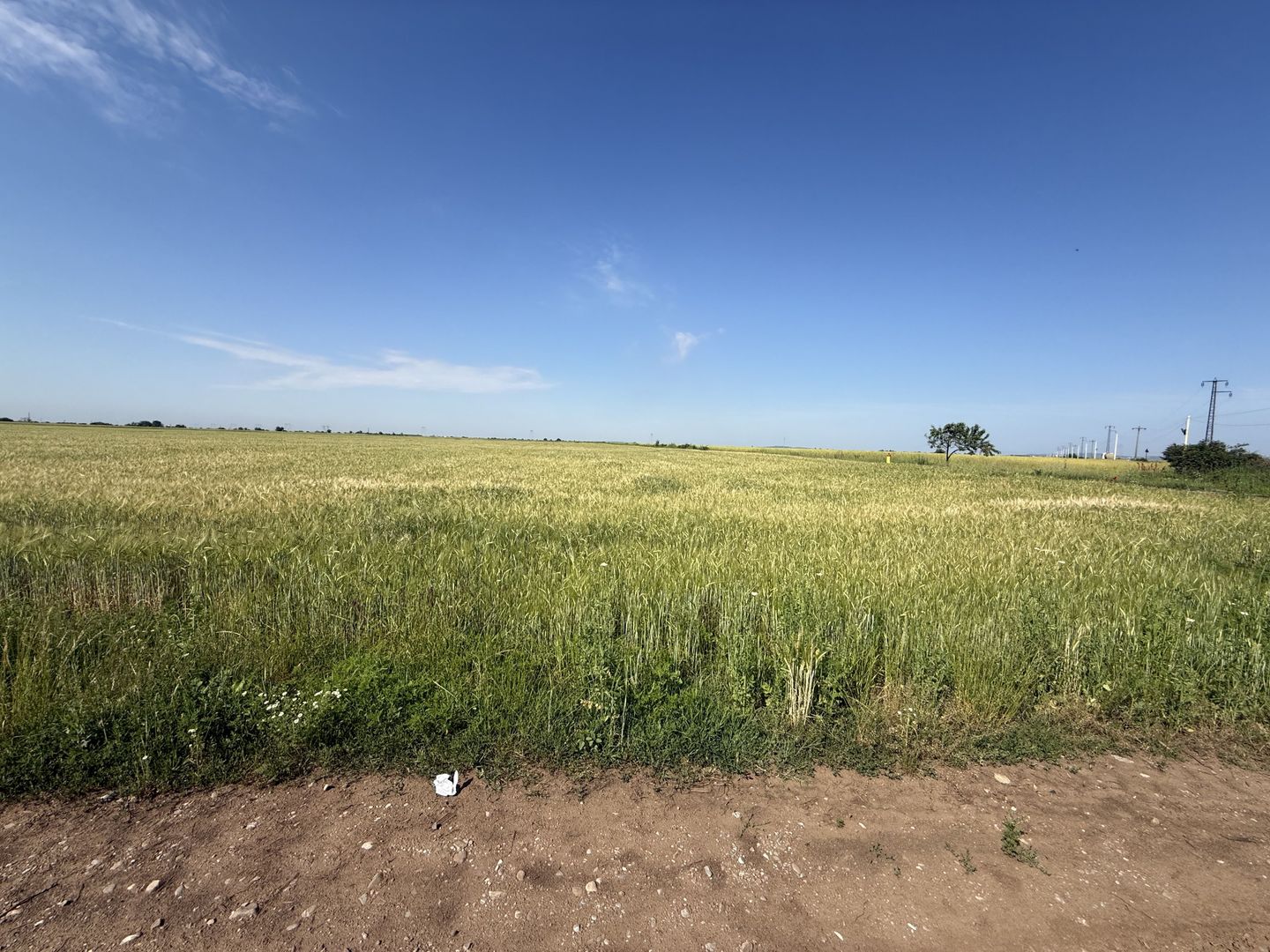 Teren 10 hectare pretabil pt panouri solare-Aricesti Rahtivani - Poză 7