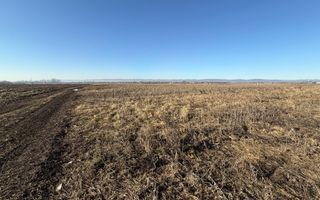 Teren extravilan | Rădăuți | 600 m de centură | 20 m front - Poză 6