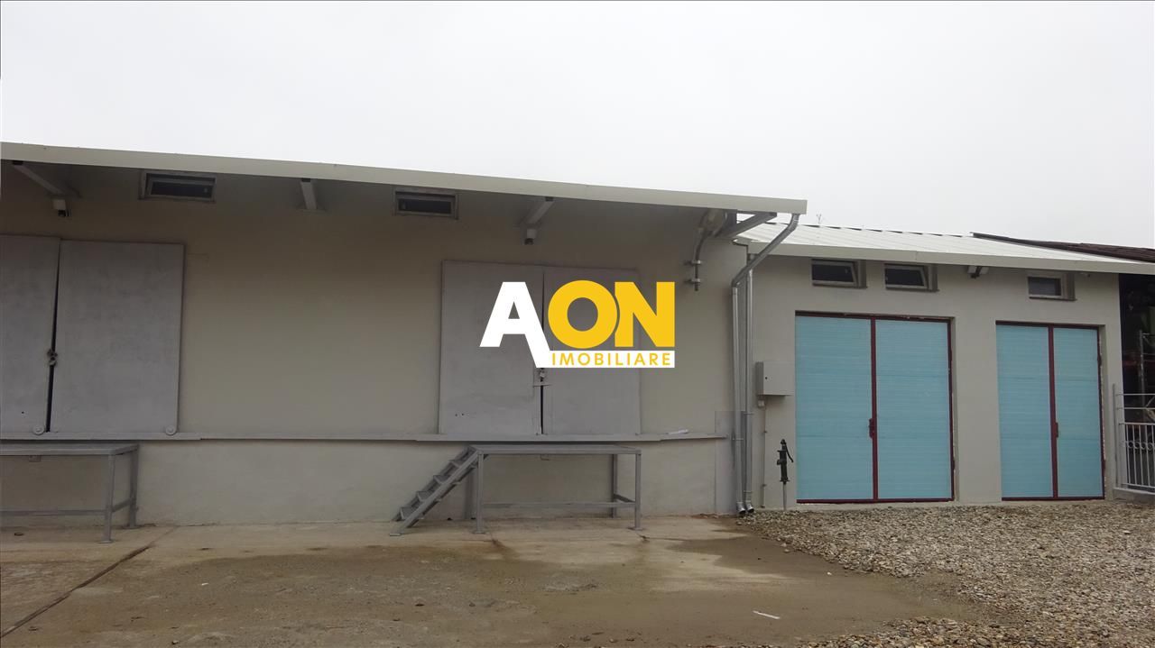 Hala de vanzare, Ampoi 3 - Poză 1