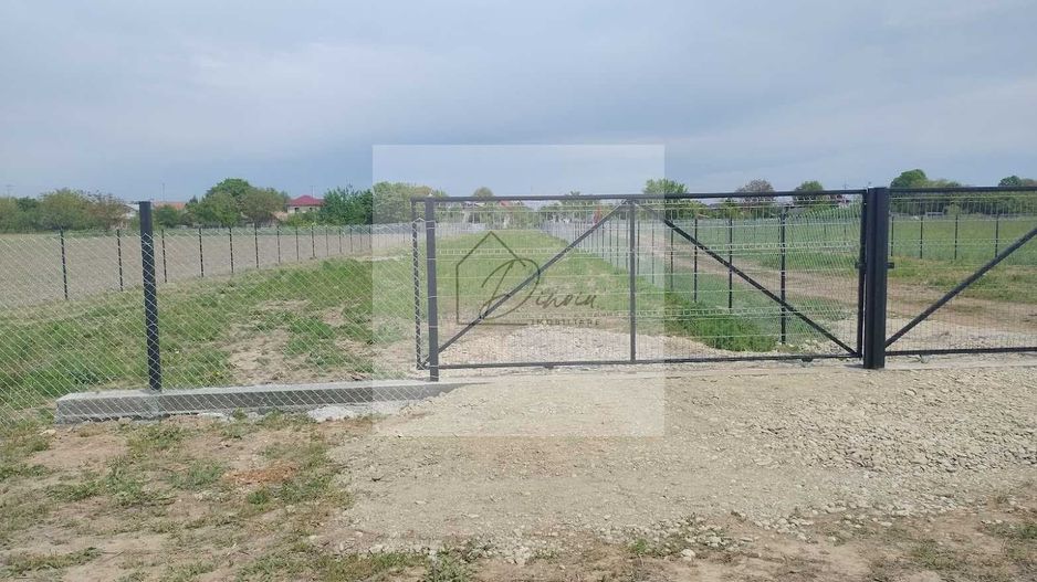 Teren intravilan 2078 mp langa padure - Piscu Ciolpani Snagov - Poză 4