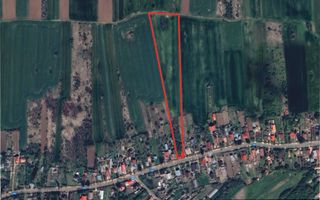 Teren 16534 mp pentru dezvoltare rezidențială, Siliștea Snagovului - Poză 2