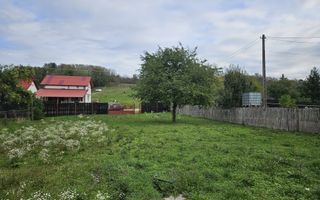 Casă de Vânzare în Albota, Sat Mareș – Liniște și Natură la Doar 10 Km - Poză 4