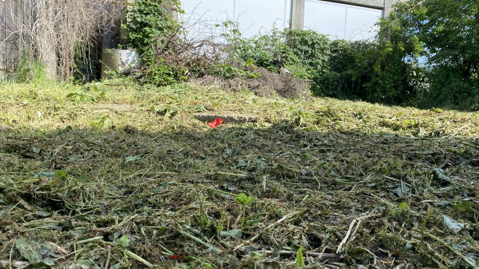 Vanzare "Casa Bunicilor" in satul Bucsani - Dambovita-Comision 0% - Poză 15