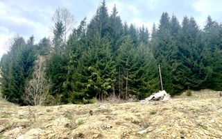 Teren intravilan 3039 mp-Parcelabil-ponton-Colibita Exclusiv - Poză 6