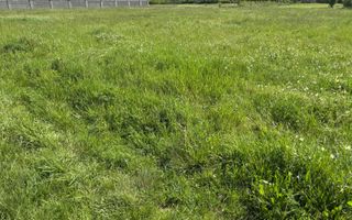 Teren de 721 mp cu Urbanism aprobat pentru duplex - Poză 6