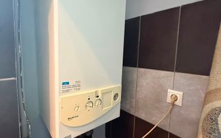 2 camere|| FLOREASCA COMPOZITORI - Poză 8