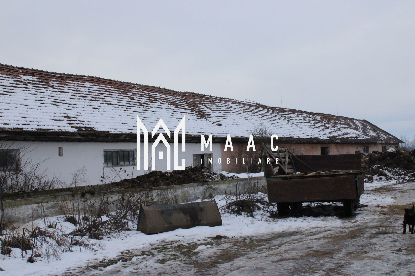 Ferma de Vânzare – Oportunitate Unică! - Poză 20