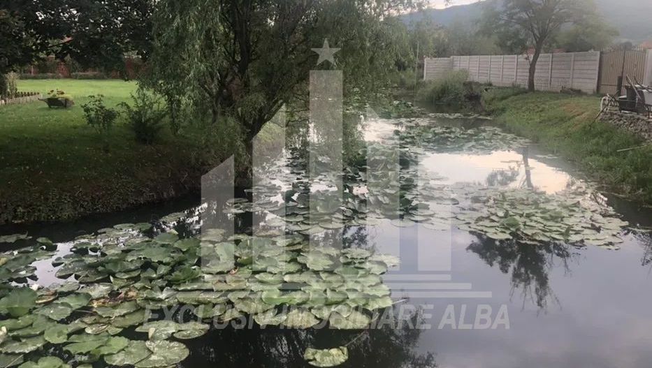 Casa individuala de vanzare, Micesti - Poză 4