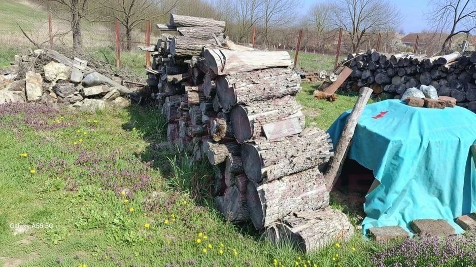 GHERTENIȘ\ CASĂ 3 CAMERE  TEREN 4636 MP\ COMISION 0% - Poză 10