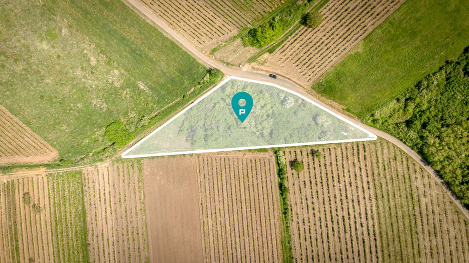 Teren extravilan - 3654 mp Dealul Șiriei - Poză 2