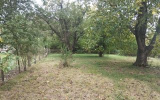 Teren intravilan 2500 mp-utilitati-ideal casa-Mijlocenii Bargaului - Poză 5