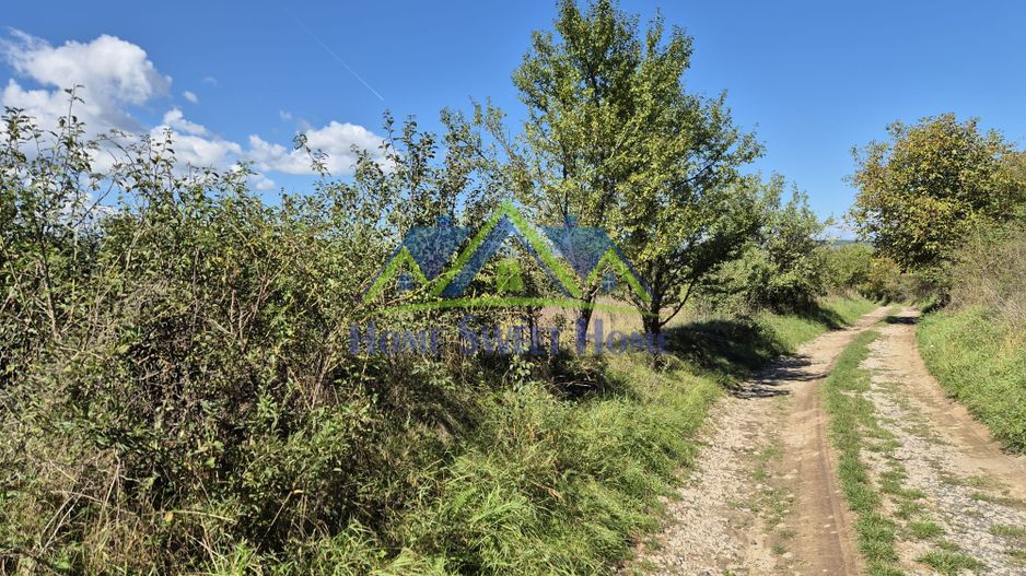 Teren intravilan în zona Lătureni – Buituri, în spatele casei nr. 100! - Poză 8